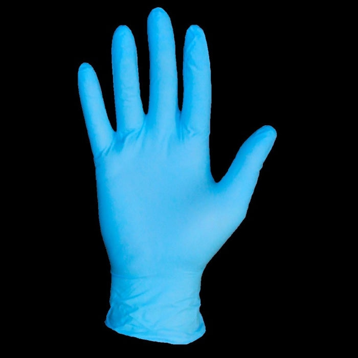 Large Gloves ($8.30/box) Personal Protective Equipment